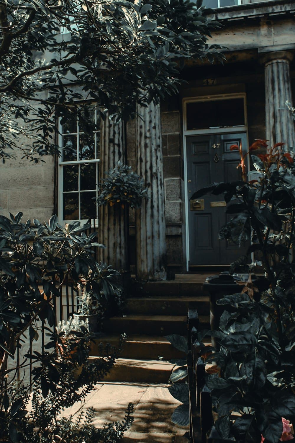A Georgian front door in Edinburgh's New Town